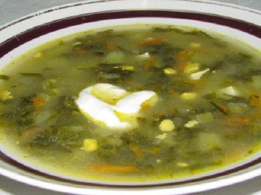 Зеленый борщ с щавелем