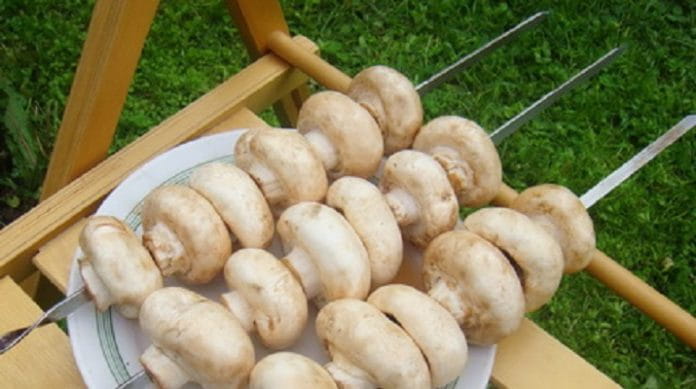 Топ-12 вкуснейших блюд из шампиньонов