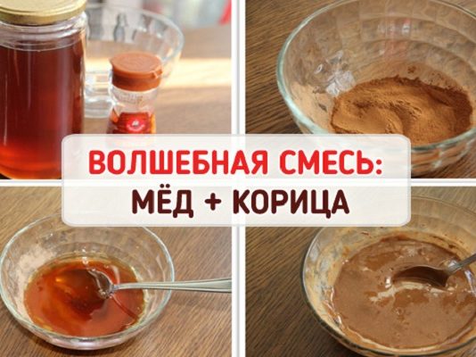 Мёд + Корица: целебная смесь от десятков болезней