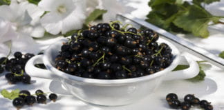 Замечательные, сочные куриные грудки в тесте