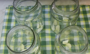 Маринованные кабачки на зиму