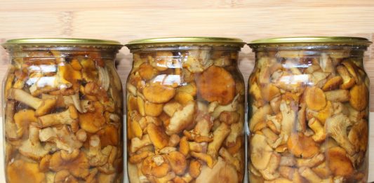 Легкий супчик с курицей и грибами