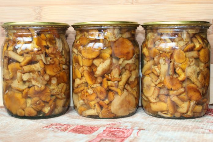 Закуски из грибов. Маринованные опята. Корейская закуска из шампиньонов.